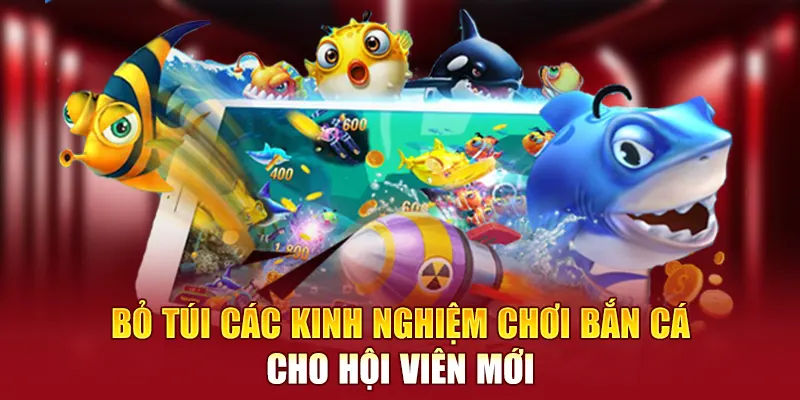 Bỏ túi các kinh nghiệm chơi bắn cá 5 sao cho hội viên mới
