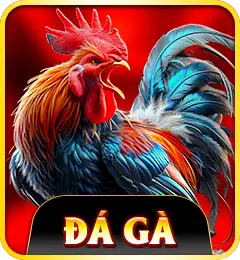Đá gà VN88